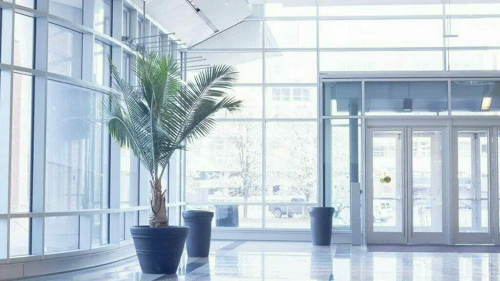 Janitorial Services: Glass-Fronted Building Entrance with Palm Tree