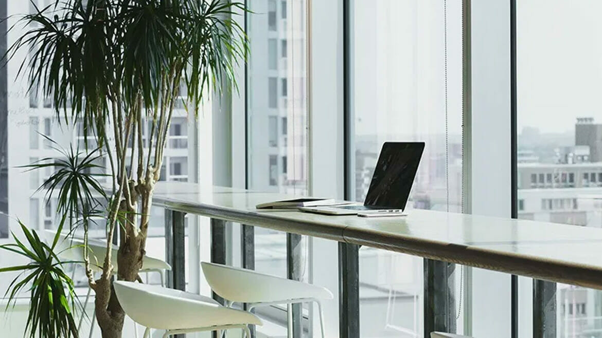 Office Cleaning in Denver: City View Office with Seating and Greenery