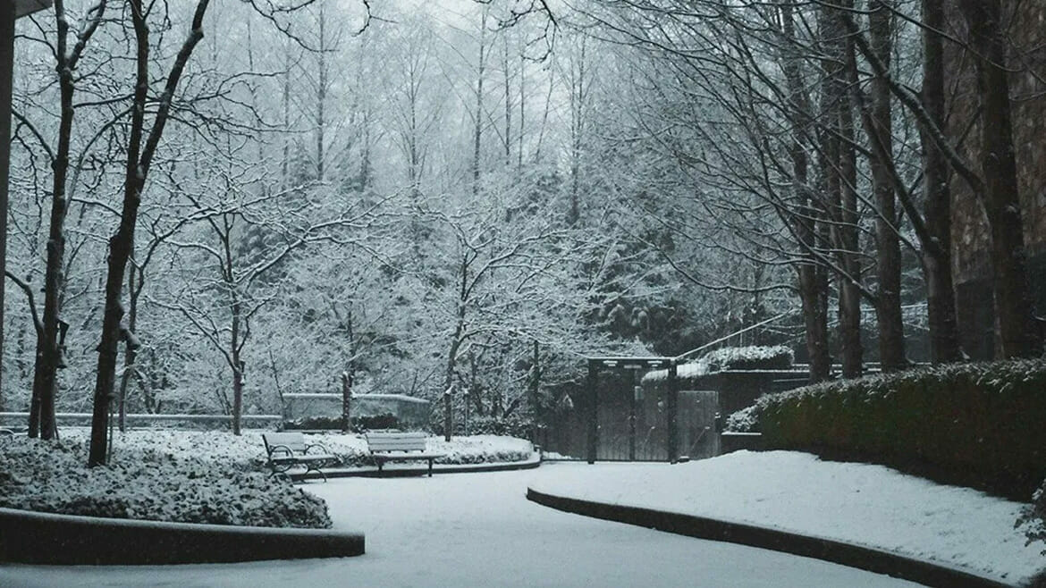 Winter Office Cleaning Services: Snow-Covered Park Scene