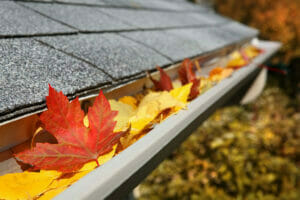3aclean's Seasonal Reminder: Autumn Gutter Cleaning Importance