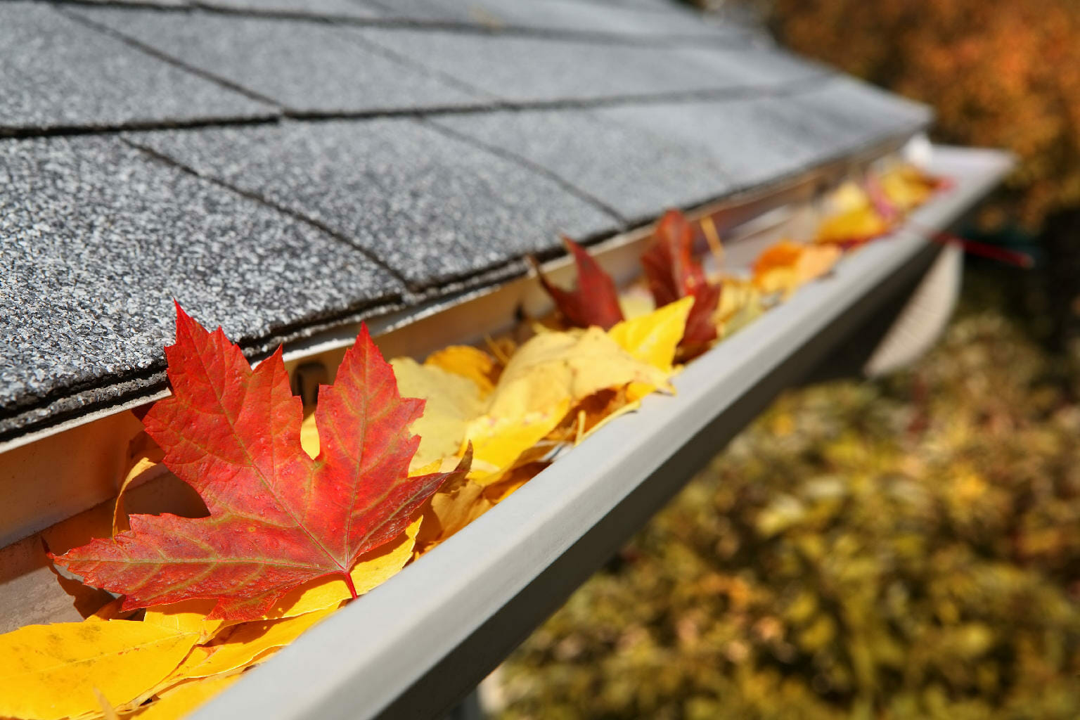 3aclean's Seasonal Reminder: Autumn Gutter Cleaning Importance