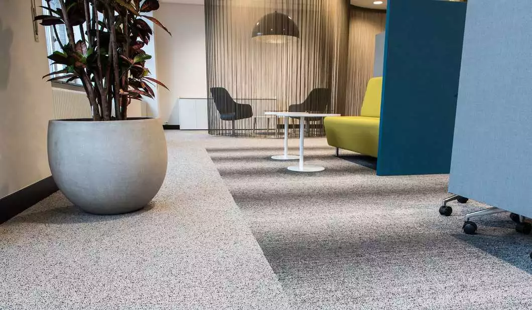 A modern office common area featuring a two-tone carpet, modern and comfortable seating, and a plant.